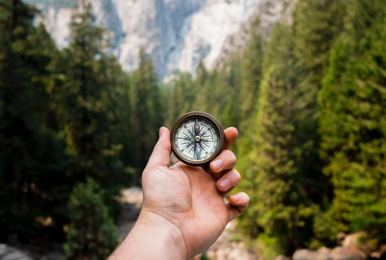 Hand holding a compass on a forest trail