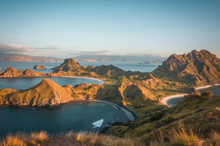 New Zealand Eco-Travel Guide: The Tiaki Promise and Predator-Free Conservation