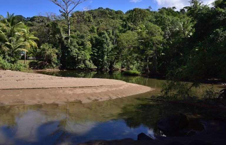 A calm river flowing through Costa Rican rainforest