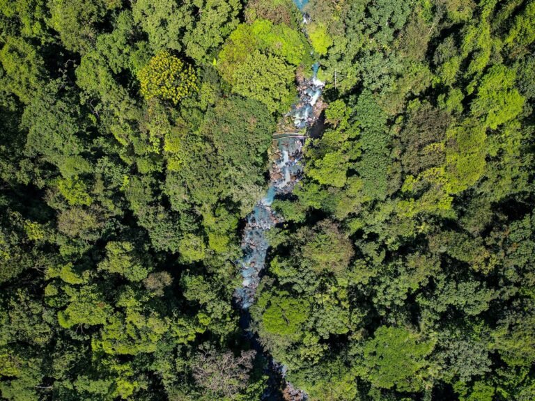 Aerial view of Río Celeste through dense Costa Rican rainforest