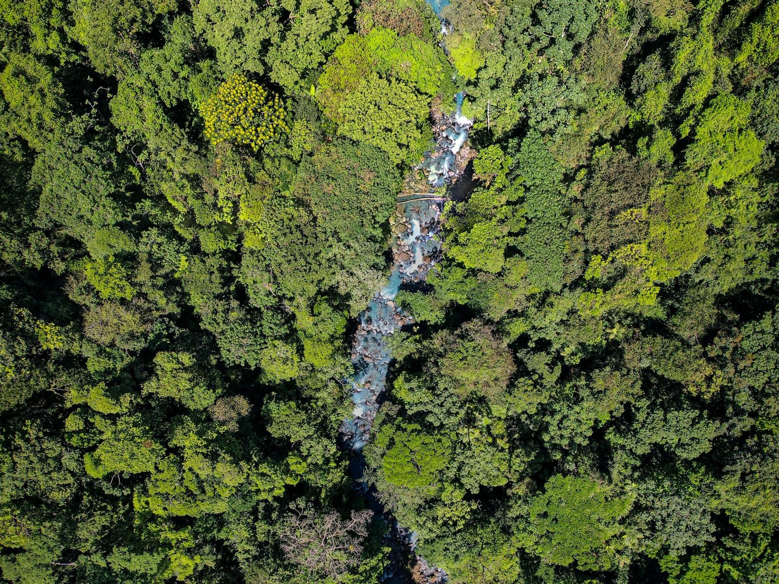 Aerial view of Río Celeste through dense Costa Rican rainforest