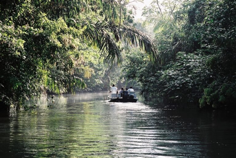 Small passenger boat traveling through a forest-lined canal in Tortuguero, Costa Rica