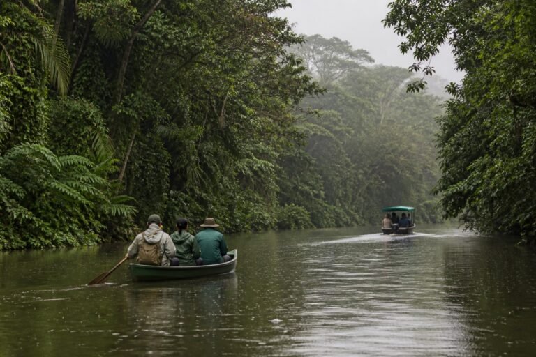 Small paddle canoe and a covered motorboat traveling separately through a rain-damp Tortuguero canal