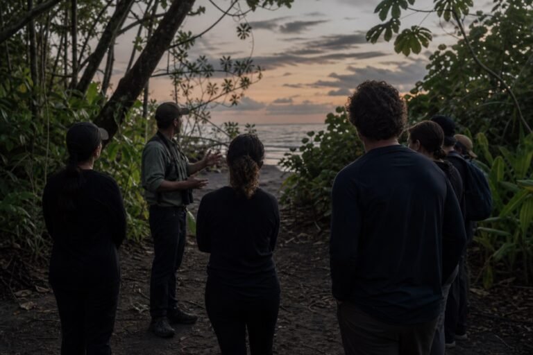 Small group in dark clothing listening to a guide at a protected Tortuguero beach access path at dusk