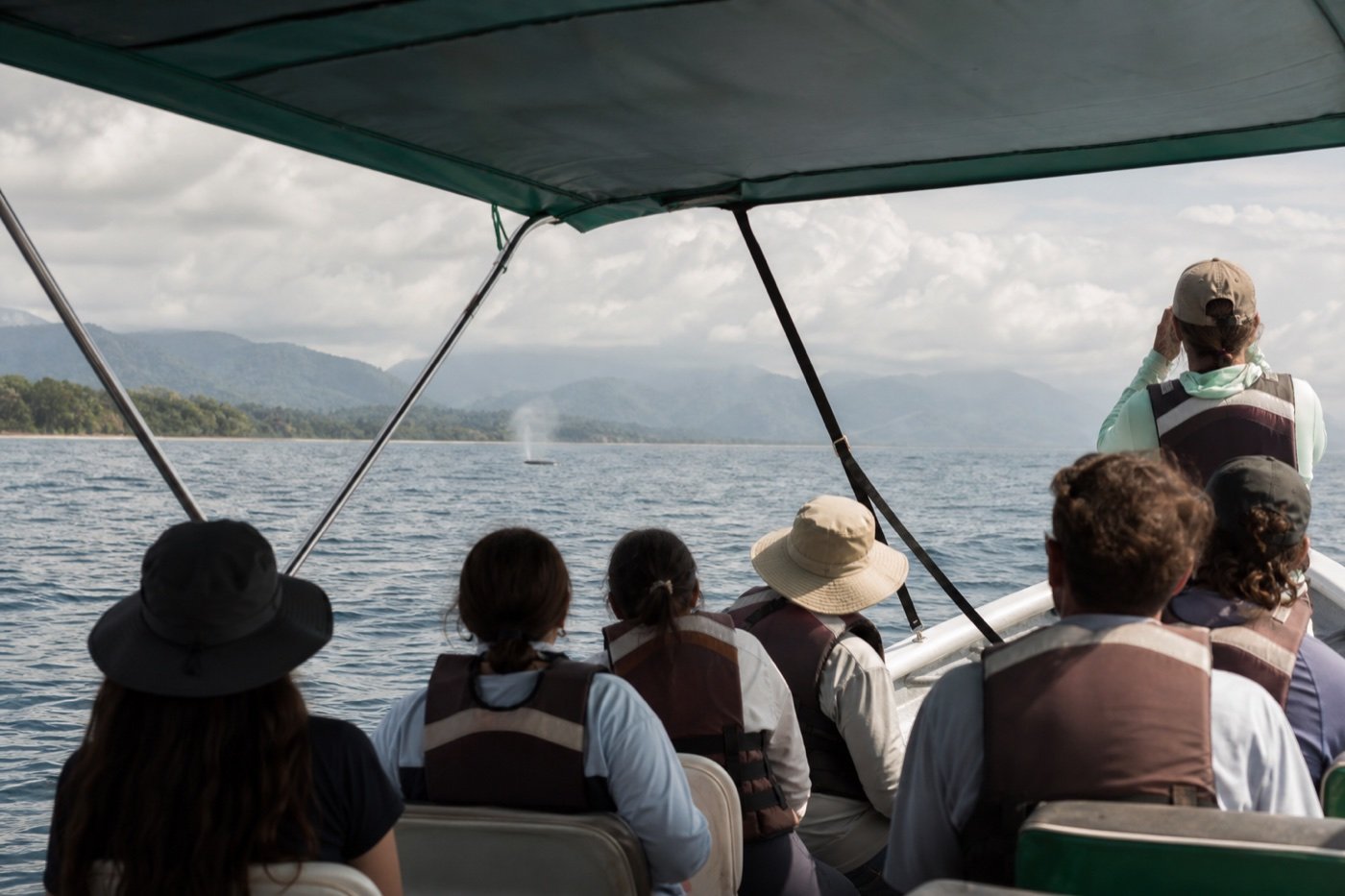 Small shaded passenger boat scanning open Pacific water off the forested Uvita coastline with a distant whale blow
