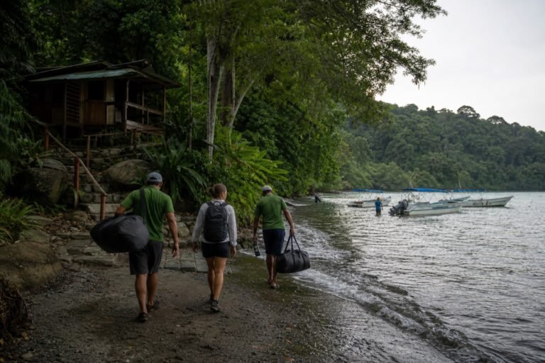Travelers and lodge staff carrying soft luggage from boats along a wet Drake Bay beach toward a forest lodge