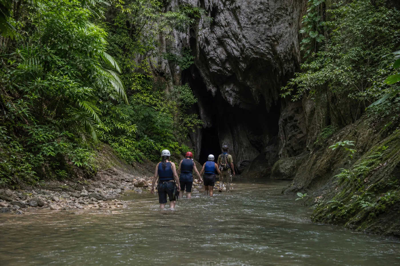 Certified-looking guide leading four helmeted visitors through a shallow jungle stream toward a limestone cave entrance in Belize