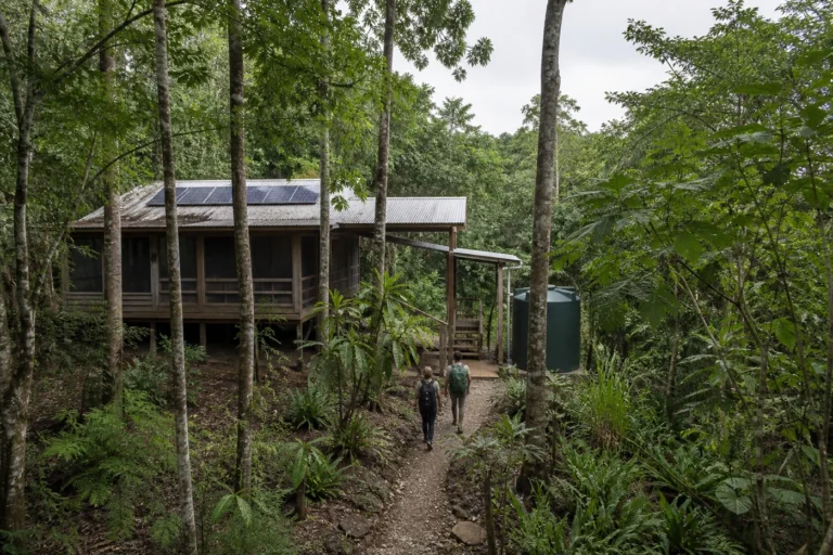 Modest raised timber lodge in Belizean rainforest with screened rooms, shaded walkway, rainwater tank, and rooftop solar panels