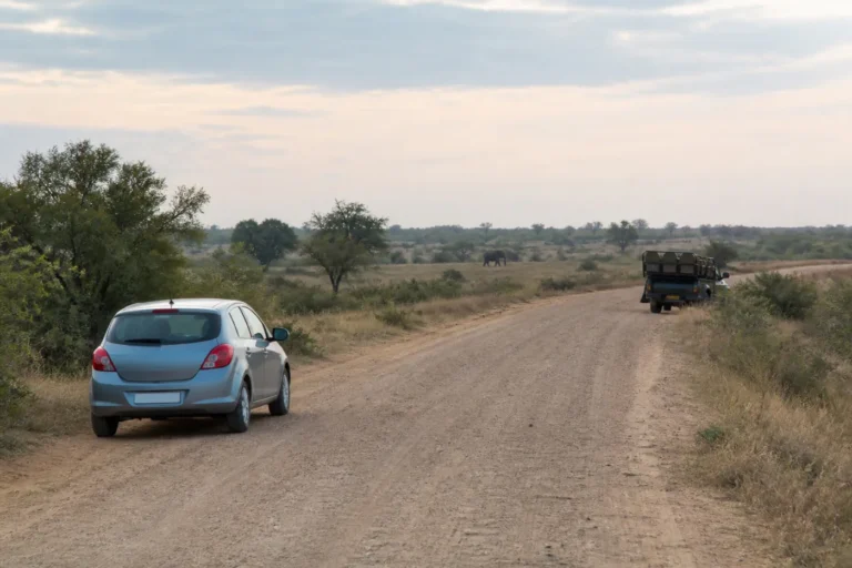 Compact car and open guided safari vehicle stopped separately on a broad Kruger road with an elephant far in the landscape